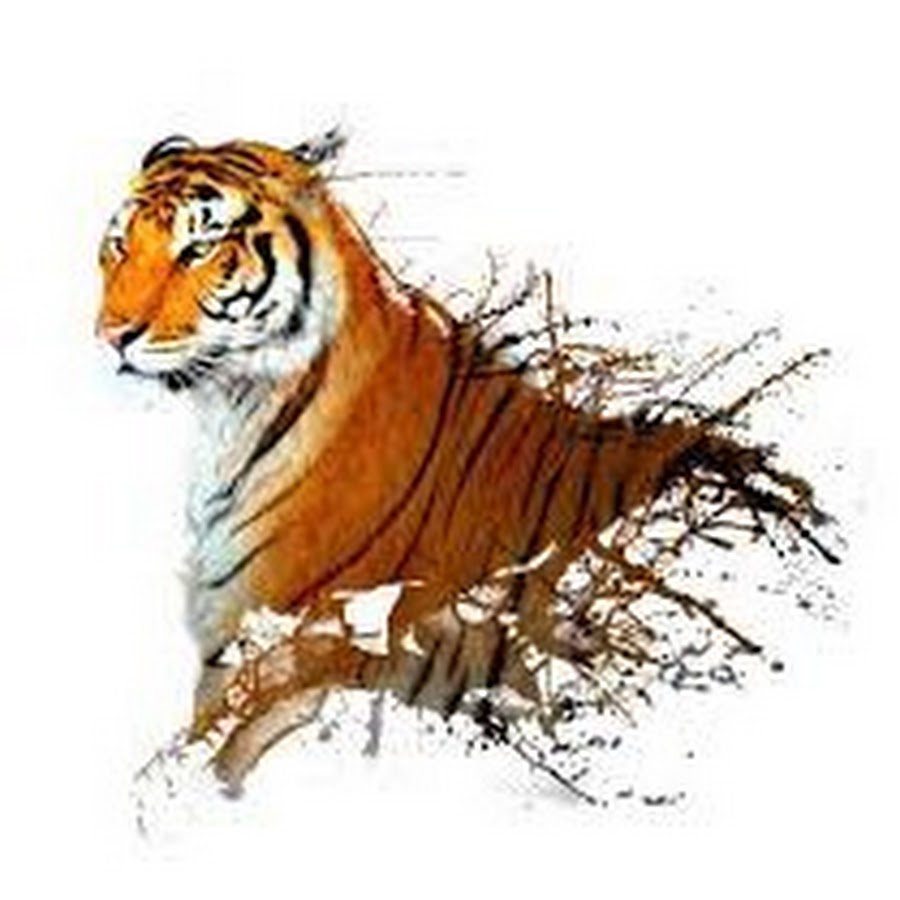 Постер тигр босс
