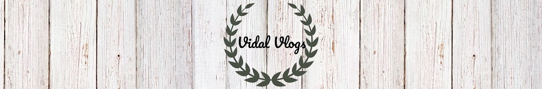 Vidal Vlogs Banner