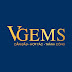 VGEMS JSC