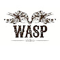 Wasp Video: Video Production