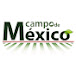 Campo de México