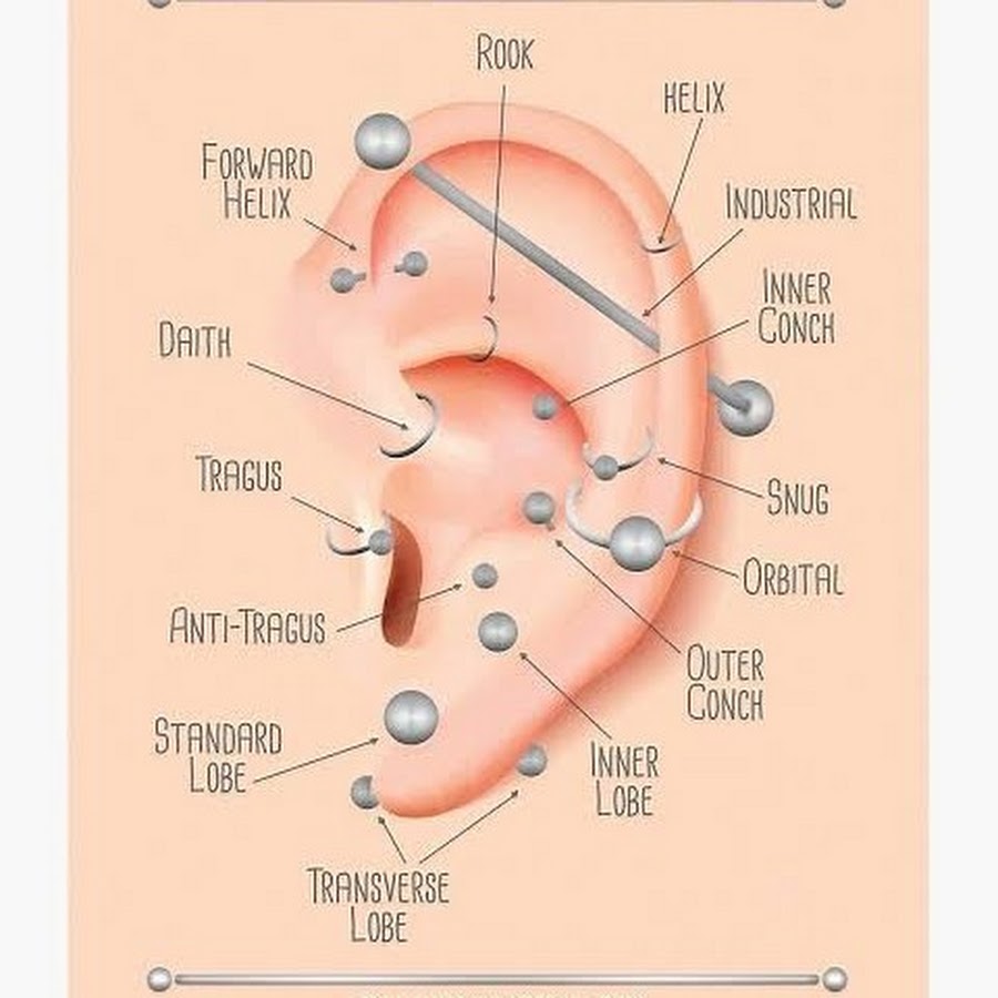 В каких местах можно прокалывать ухо схема девушка