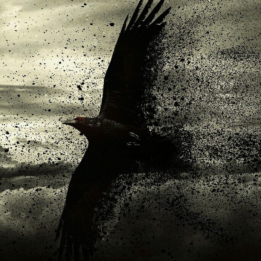 Black bird online steam фото 38