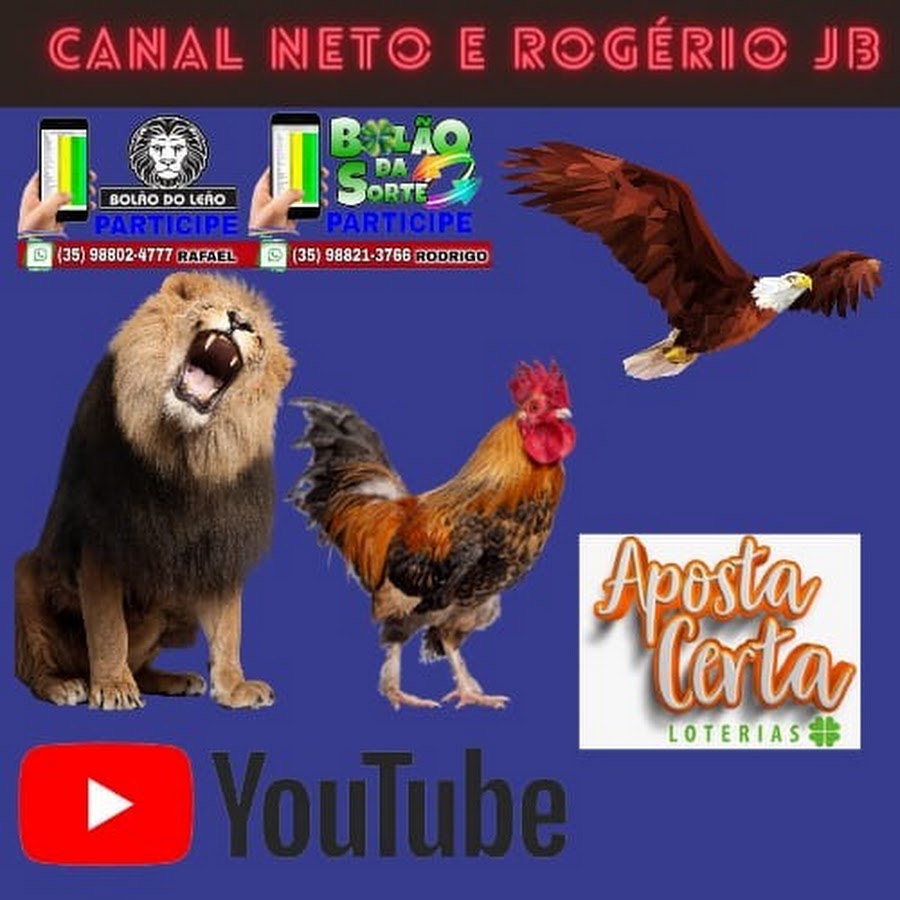 Resultado ao vivo Rogério e Neto JB 