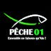 Fédération Départementale de Pêche de l'Ain