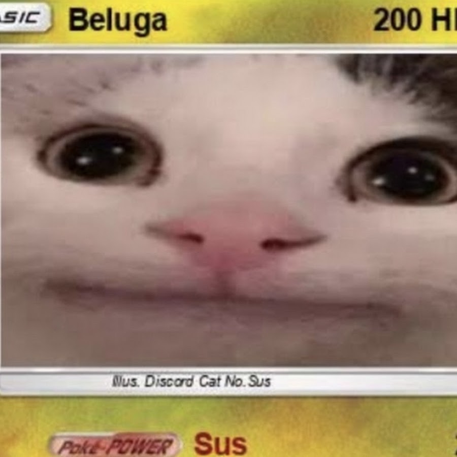 Pokemon Beluga cat 4