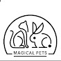 Magical Pets