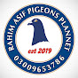  Pigeons Plannet