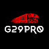 G29 PRO