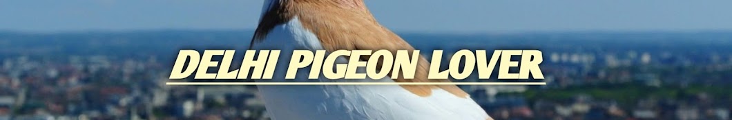 Delhi pigeon Lover Banner