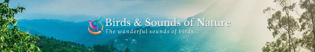 Birds & Sounds of Nature