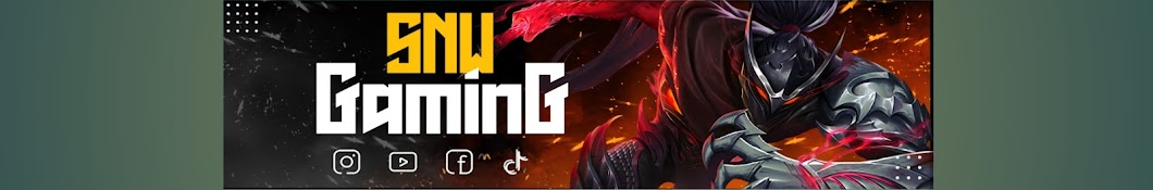 SNW GAMING Banner