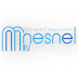 Nesnel TV