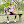 ciproshow avatar