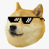 Itzdoge