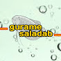 Gurame Saladab