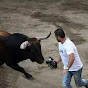 DE LA RISA A LA TRAGEDIA, TOROS.