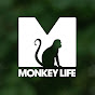 Monkey Life