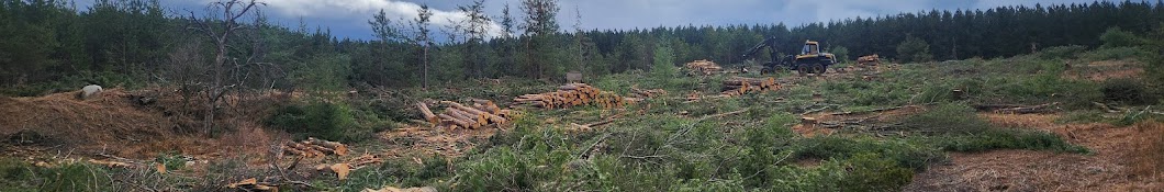 Pine Creek Logging