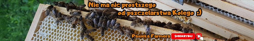 Pasieka Farmera