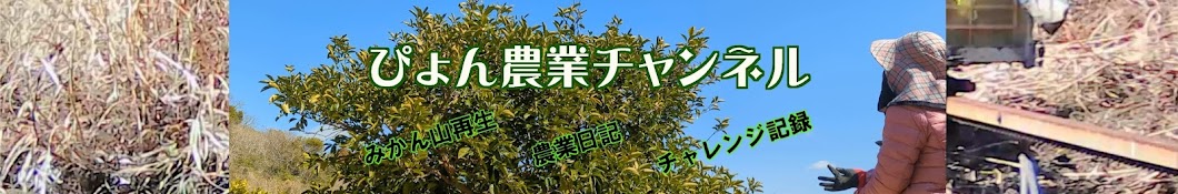  Pyon Agricultural Channel