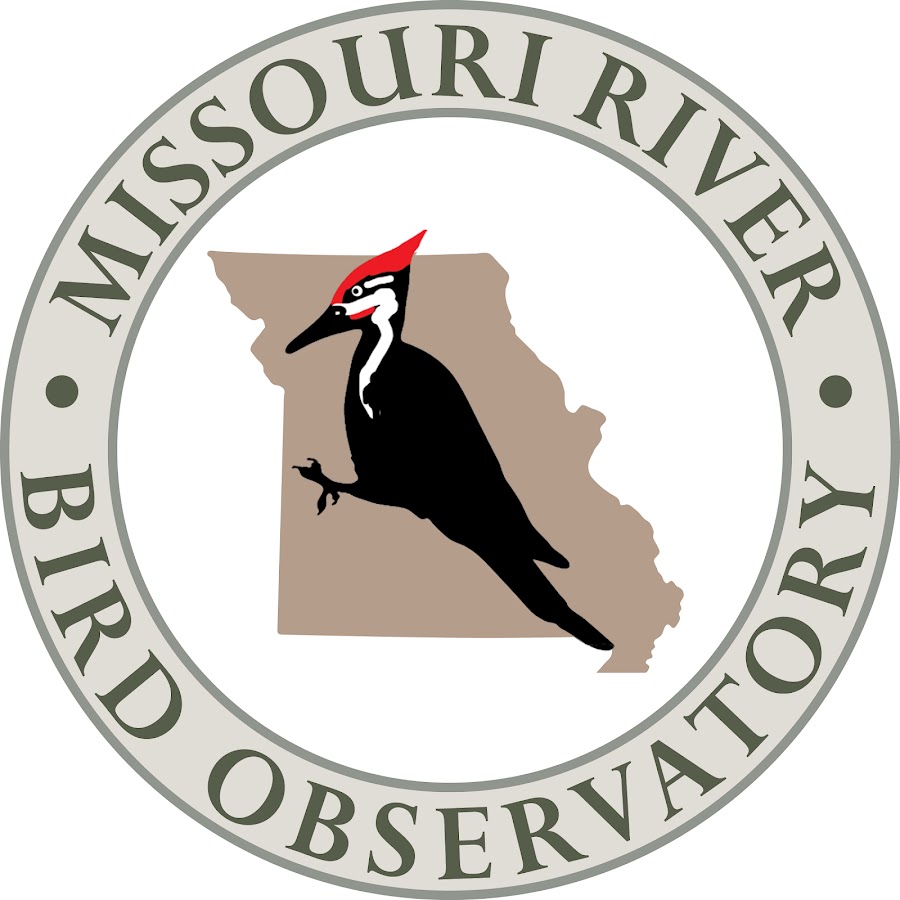 Missouri River Bird Observatory - YouTube