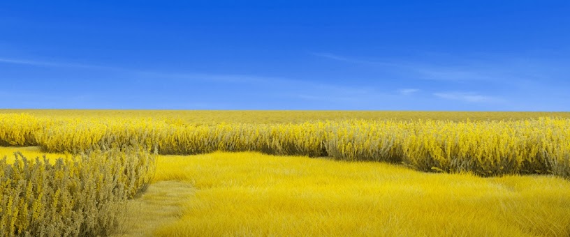 Artist Thumbnail