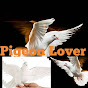 pigeon lover bd