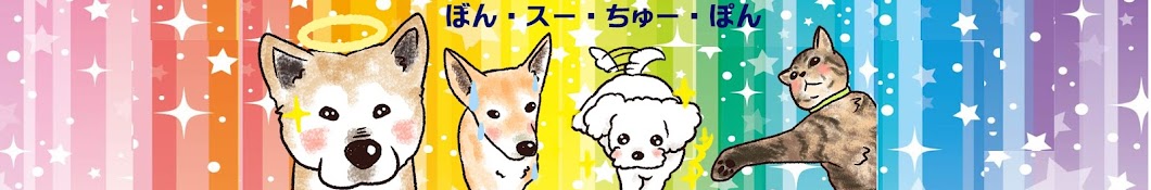 ぼんスーちゅー【マルチーズ＆マルプーそして秋田犬】