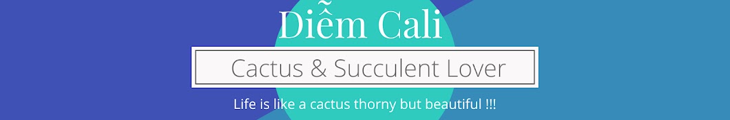 Cactus & Succulent Lover 464 Banner