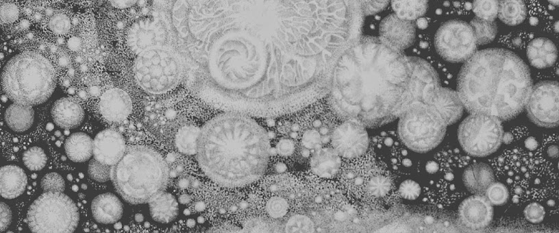 Artist Thumbnail