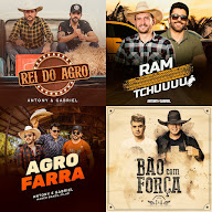 sertanejo agro