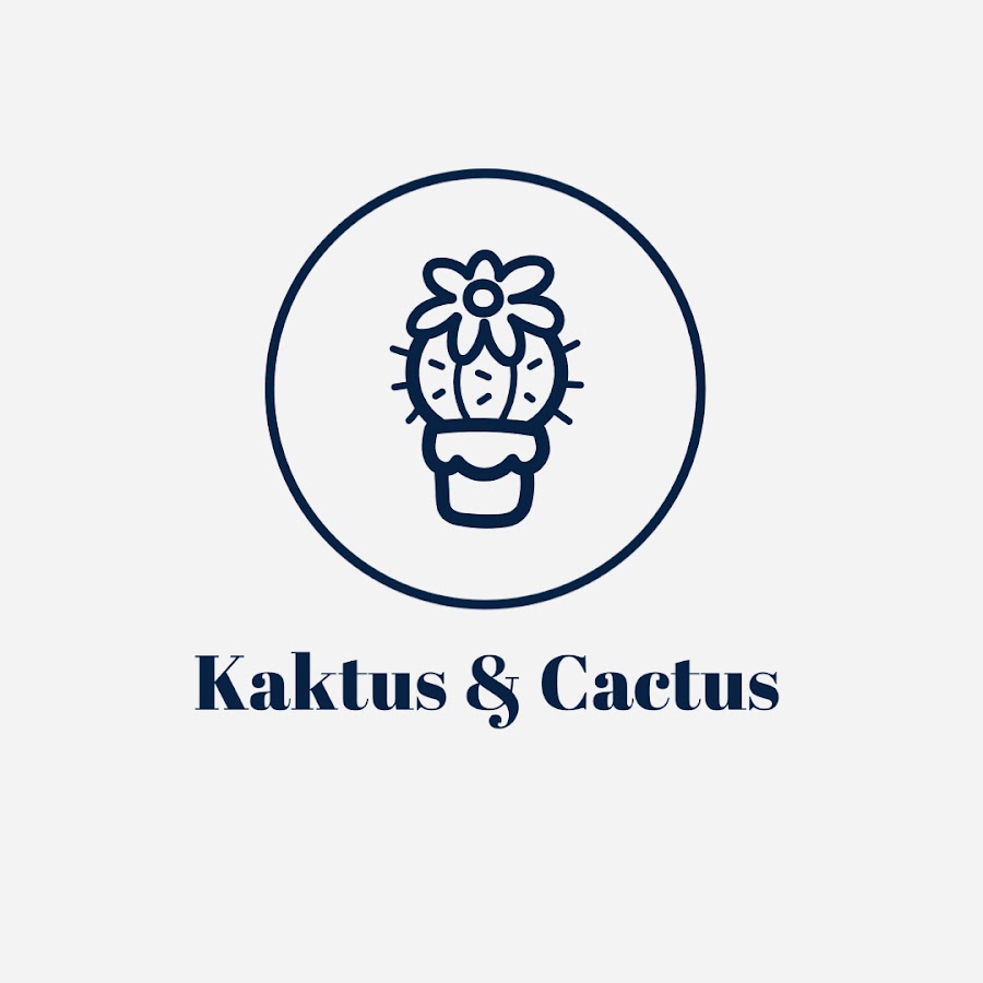 sukulenty i kaktusy w UK magda