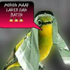 Masteran Burung Kenari Isian Cililin Spesial Lookhit Com