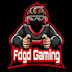 fdgd gaming