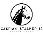 Caspian Stalker 12