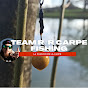 team r/r carpe fishing