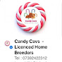 Candycavs - Home Of Waggy Tails