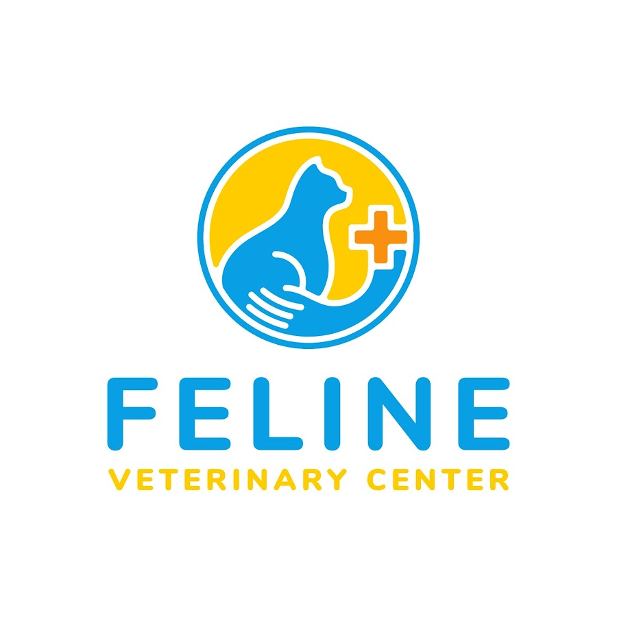 Feline veterinary center youtube
