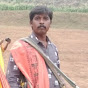 Senthil pambai