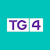 logo TG4