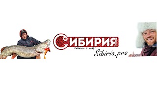 Заставка Ютуб-канала СИБИРИЯ