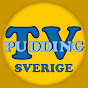 Pudding-TV Sverige