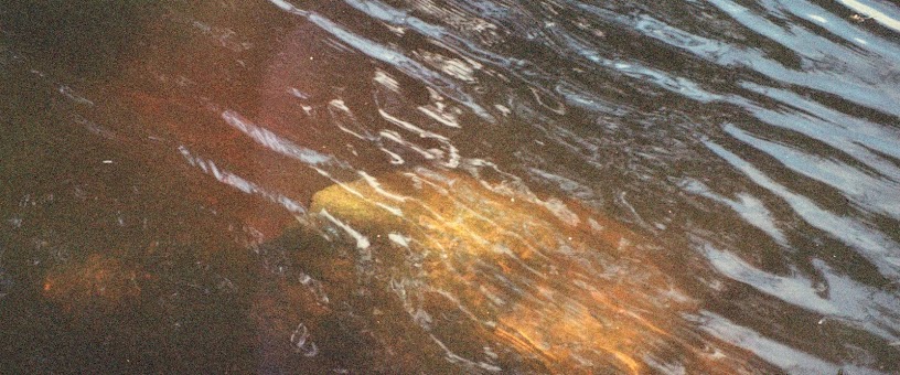 Artist Thumbnail