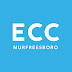 logo The Experience Community |  Murfreesboro