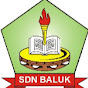 SDN BALUK