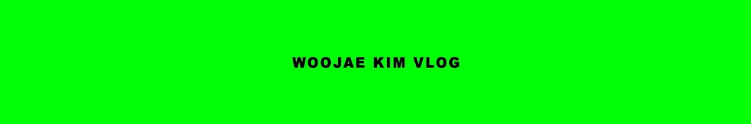 Woojae Kim Vlog