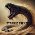 logo Dynamic Trends