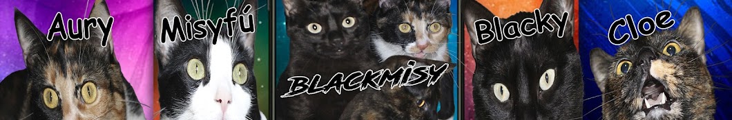 BlackMisy Banner
