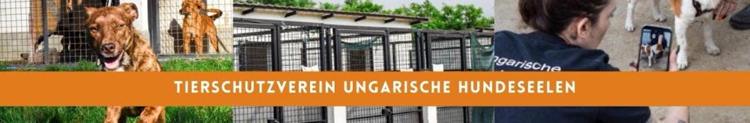 Tierschutzverein Ungarische Hundeseelen